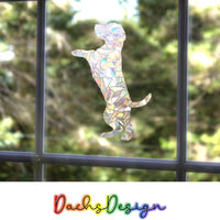 Animal Rainbow Suncatchers - labradors, cats, dachshunds, whippet