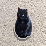 Custom Pet Stickers