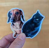 Custom Pet Stickers